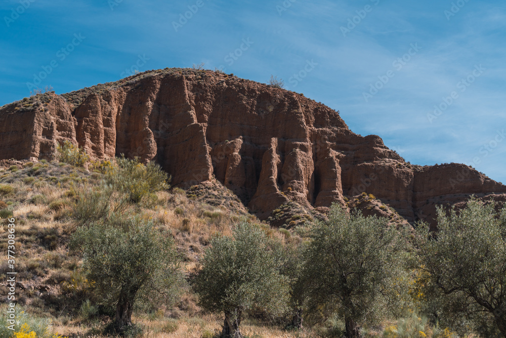 Fototapeta premium Eroded mountain with vegetation and olive groves