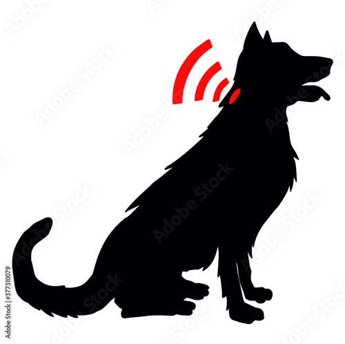 Dog with microchip. Zoo goods - microchipping of animals. Badge for dogs and cats with a microchip tablet inside the body and information about the owner, on which a microchip implant is installed.