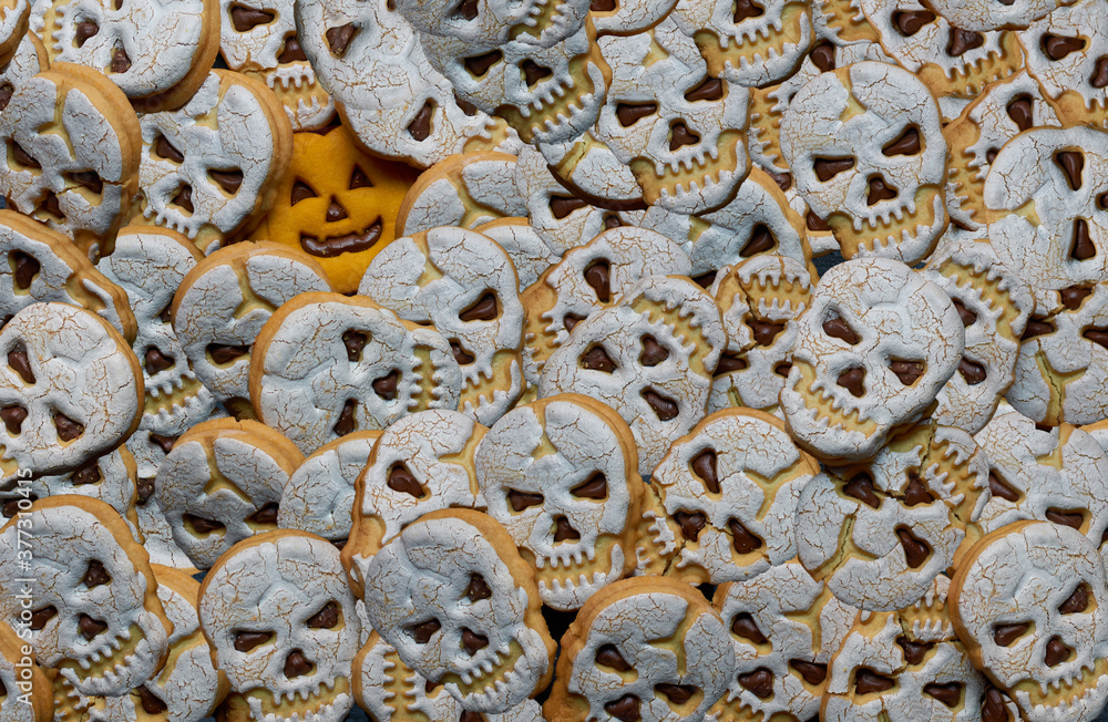 Skull-shaped chocolate cookies all over the image with a single pumpkin cookie. 