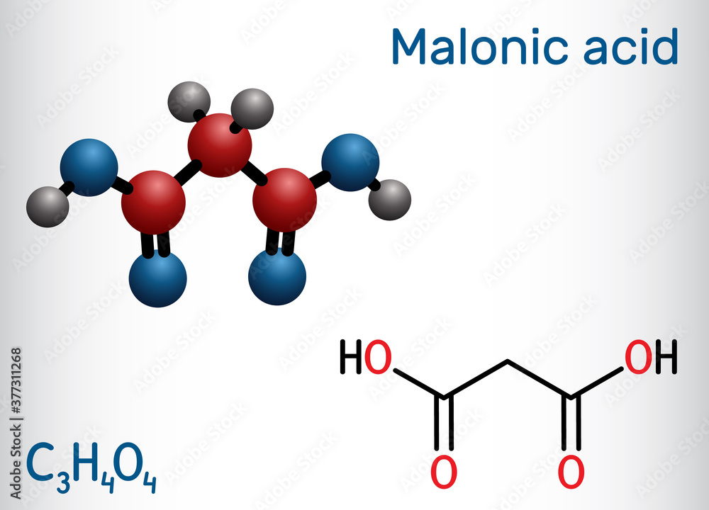 Malonic acid, dicarboxylic, propanedioic acid molecule. The ionized form its ester and salt, are known as malonate. Structural chemical formula and molecule model Malonic acid, dicarboxylic, propanedioic acid molecule. The ionized form its ester and salt, are known as malonate. Structural chemical formula and molecule model