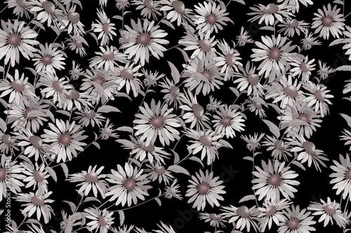 Monochrome seamless pattern with flowers on black background. For textile  wallpapers  print  greeting. Vector.