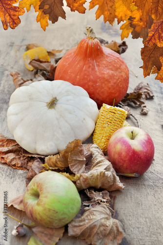squashes and apples in brown leaves and oak leaves at the top