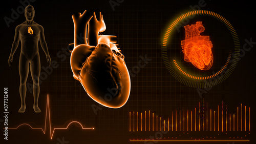 Anatomy of human full heart 3d illustration photo