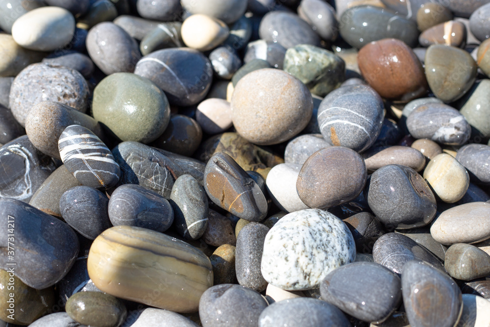 Wet, shiny stones on the shore of the sea, ocean, river or lake Wet, shiny stones on the shore of the sea, ocean, river or lake
