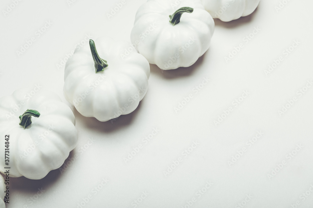White Pumpkins. Autumn concept