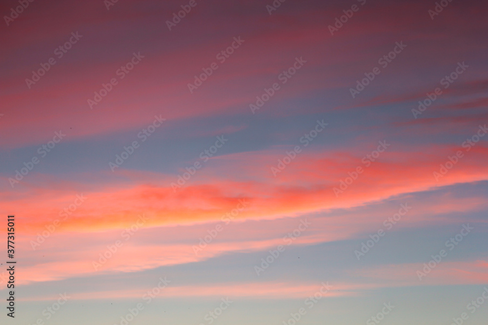 Red cirrus clouds at sunset.