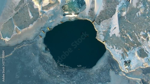 sunset over the glacier lake with seals sunbathing