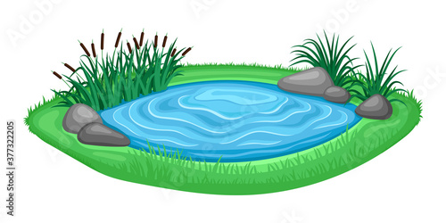 Illustration with beautiful pond and reeds on white background.