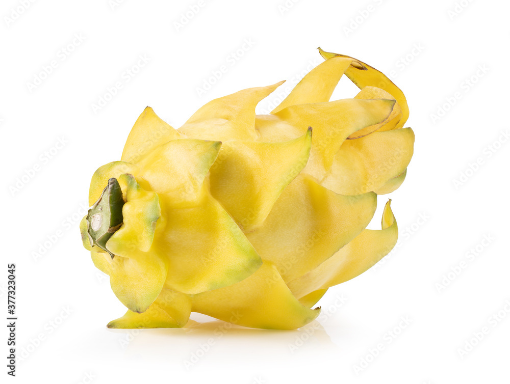 yellow dragonfruit on white background yellow dragonfruit on white background