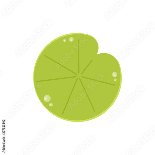 Lily pad vector. Lily pad logo design.