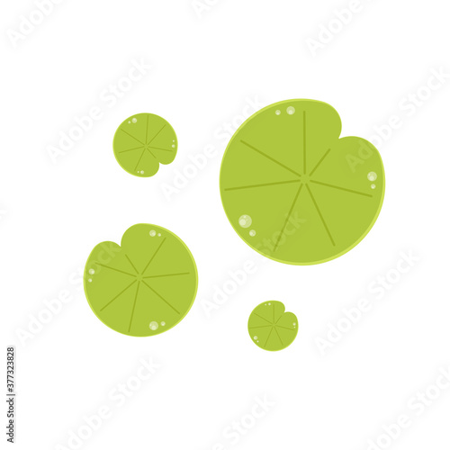 Lily pad vector. Lily pad logo design.