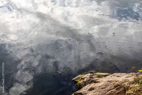a stone on the river bank on which a frog sits. Clouds are reflected in the water