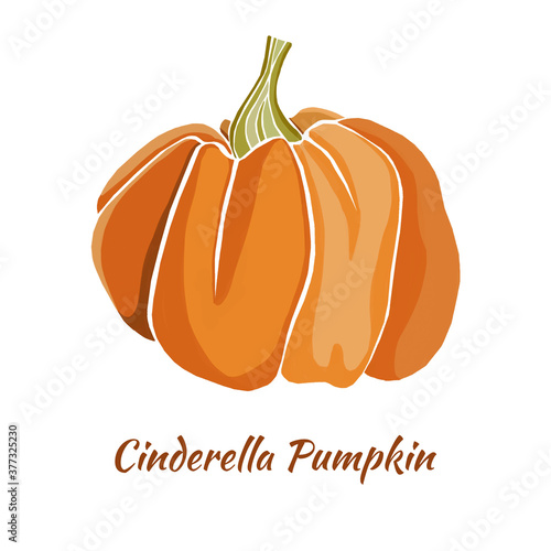 Cinderella pumpkin isolated on white background. Halloween digital art.