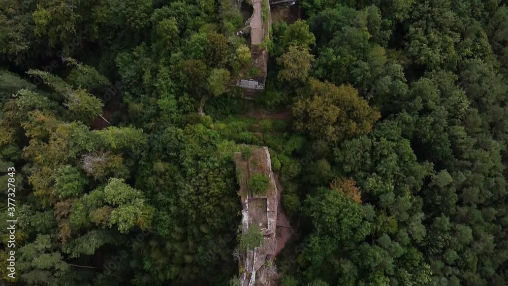 Birds Eye View of the Castle Ruin Burg Drachenfels near Busenberg in the Palatinate Forest, Germany, Aerial Drone Shot