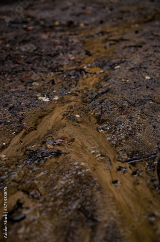  the traces of a stream in the mud in the dark