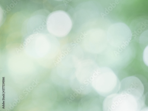 White bokeh blurred background of leaves in the sunlight