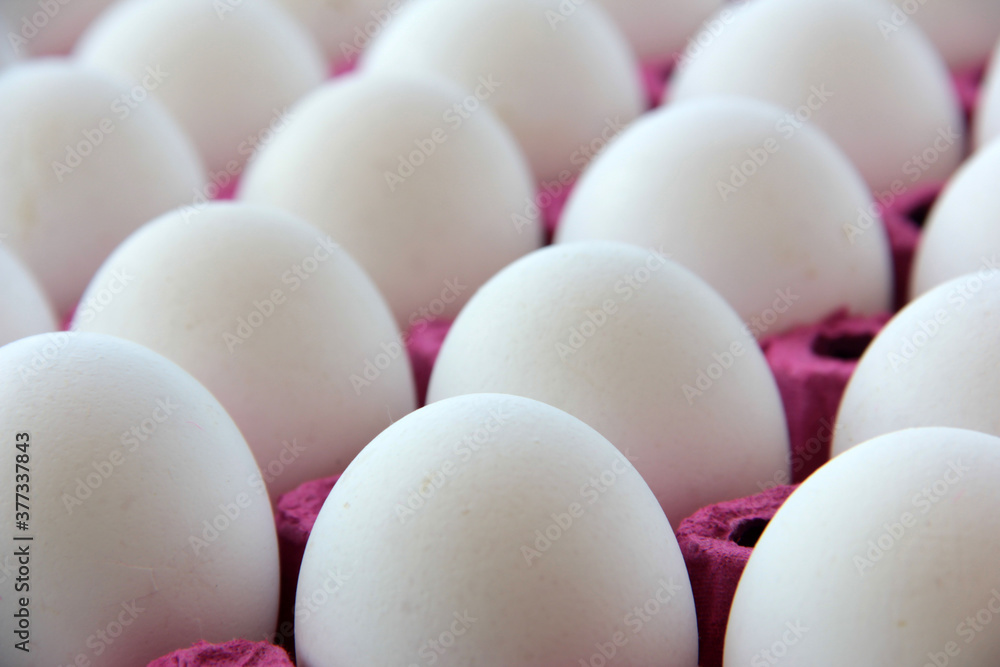 fresh and organic eggs fresh and organic eggs