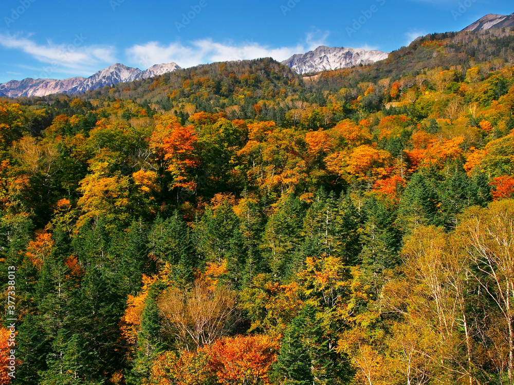 栂池高原　秋の山色 (北アルプス白馬三山)