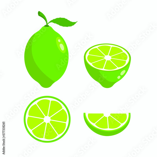 Vector lime slice green illustration lemon isolated half fruit lime. Fresh green cut citrus icon.
