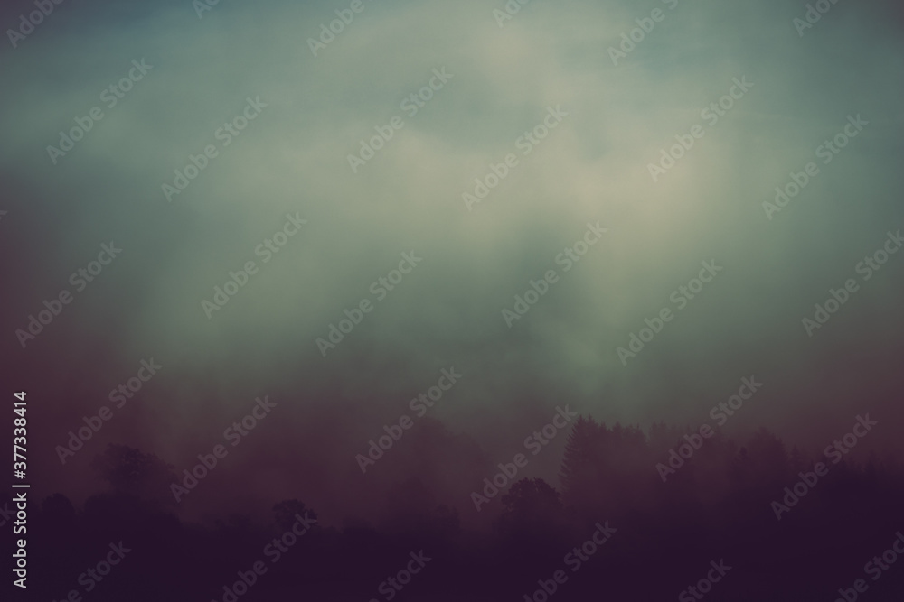 Foggy autumn landscape, sad feelings in the nature. Background with dark, soft colors. Bad mood, depression concept Foggy autumn landscape, sad feelings in the nature. Background with dark, soft colors. Bad mood, depression concept