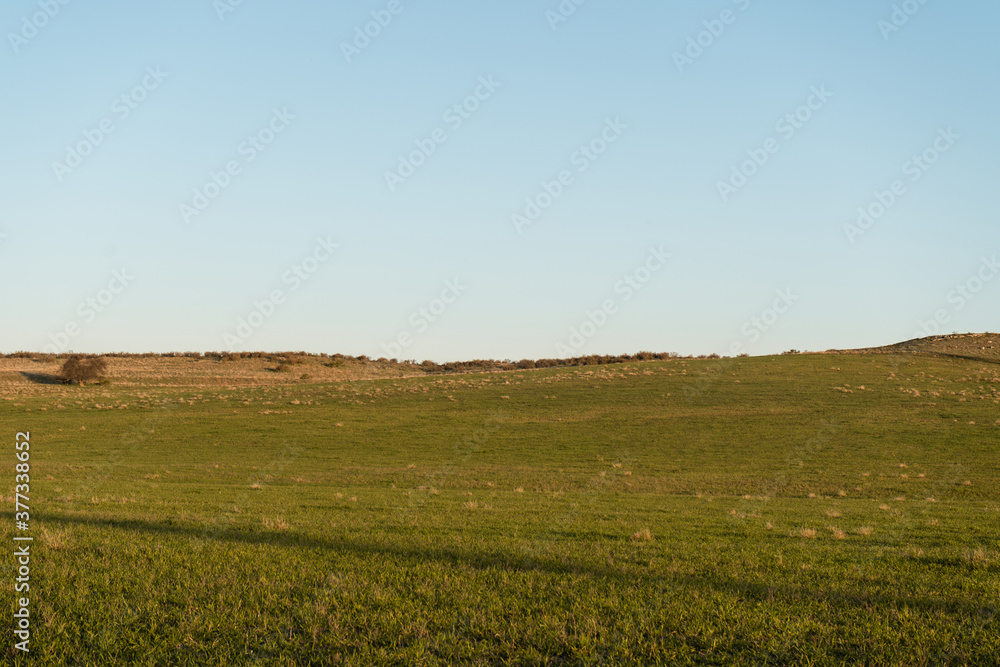 Beautiful rural landscape with green land and light blue sky.