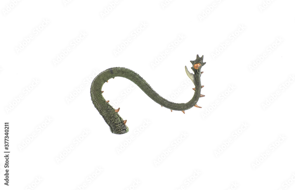 dragon tail isolated on white background