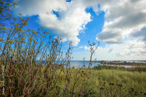 clouds over the field