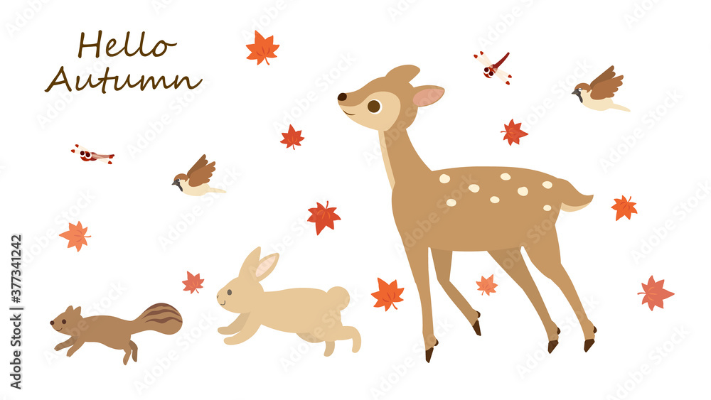 かわいい秋の動物たちのイラスト Stock Vector Adobe Stock