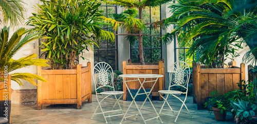 Metal garden furniture, stools and table standing in tropical plants orangery with palms in wooden flowerbeds. Relaxing time in biophilic interior style. Greenhouse cafe. Wide banner. Copy space.