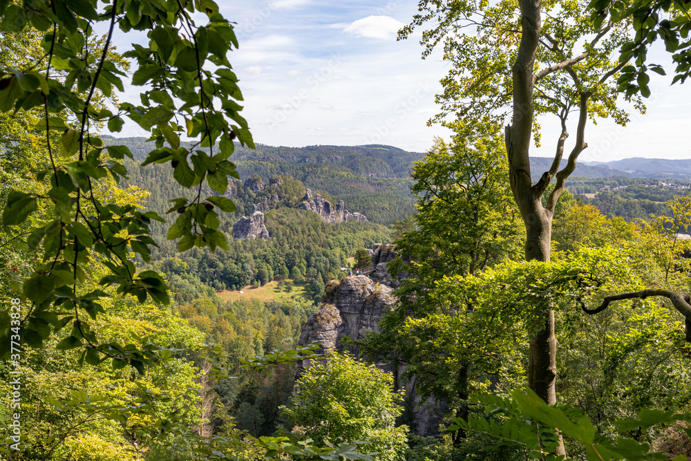 Elbsandsteingebirge in Sachsen, Felsformationen