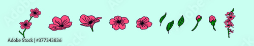 set of cherry blossom cartoon icon design template with various models. vector illustration