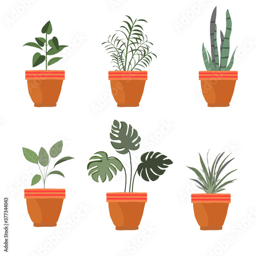 Set of potted plants. isolated cute house indoor plant vector. Hand drawn. illustrations of succulents in pots and with plants on white background.