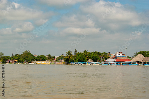 Wallpaper Mural Mangrove swamp Teclolutla River Veracruz Mexico Torontodigital.ca