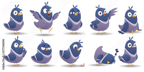 Cartoon bird character set
