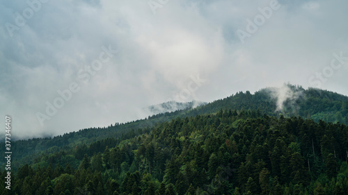 Germany, Black Forest Schwarzwald view above endless green tree covered mountains with mystical foggy clouds above