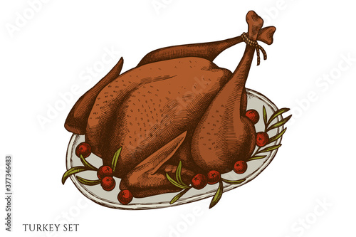 Vector set of hand drawn colored turkey
