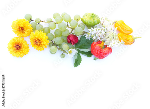 Autumn floral, fruit and vegetables still life composition. Chilli, tomatillo, grapes, orange Tagetes flowers, flower allium tuberosum and leaves achocha on white table background. photo