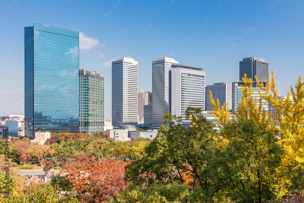 Beautiful cityscape of Osaka in autumn, group of skyscrapers  with colorful woods foregroud and blue sky background, Osaka,Japan