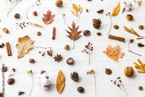Autumnal pattern with natural forest details. Autumn leaves, berries, acorns, walnuts, cinnamon,anise , cotton and pine cones on white background.