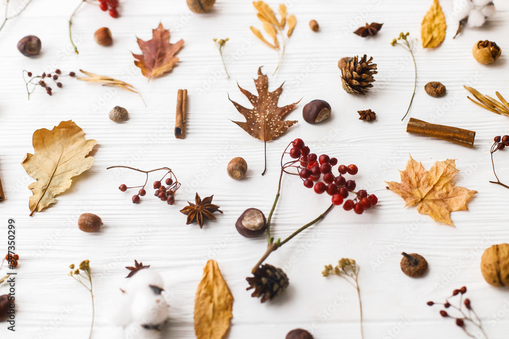 Autumnal pattern with natural forest details. Autumn leaves, berries, acorns, walnuts, cinnamon,anise , cotton and pine cones on white background. Hello Fall Autumnal pattern with natural forest details. Autumn leaves, berries, acorns, walnuts, cinnamon,anise , cotton and pine cones on white background. Hello Fall