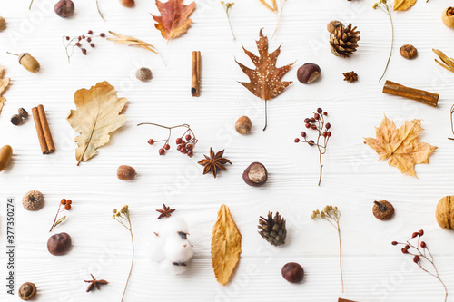 Autumn flat lay. Fall leaves, berries, acorns, walnuts, cinnamon,anise , cotton and pine cones on white background. Minimalistic autumn natural pattern
