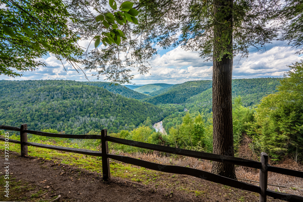 View from Canyon Vista overlook in Worlds End State Park in  Forksville, PA
