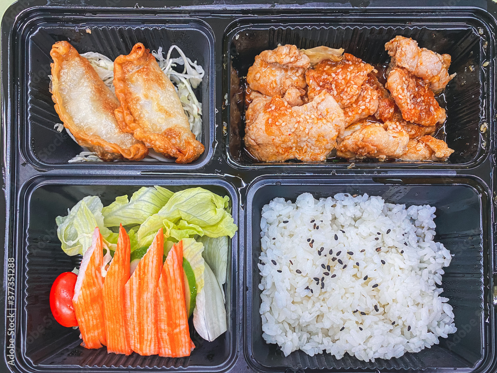 packed lunch with Korean spicy pork, rice, fried Gyoza and salad. Bento