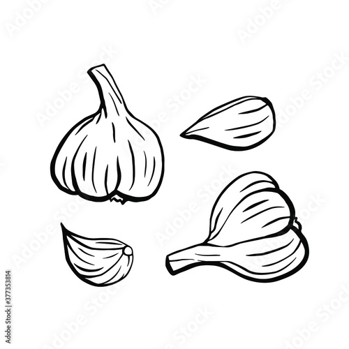 A set of hand-drawn illustrations of garlic. Design elements for a poster, banner, or menu. Garlic isolated on a white background. Hand-drawn vector illustration in Doodle style.
