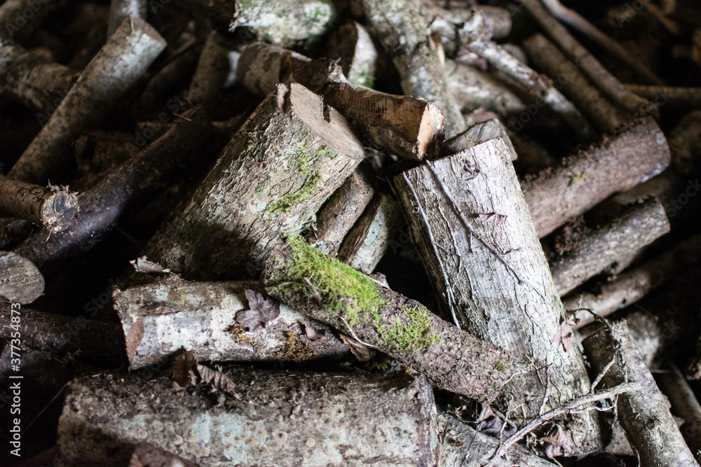 Buche de bois pour l'hiver Buche de bois pour l'hiver