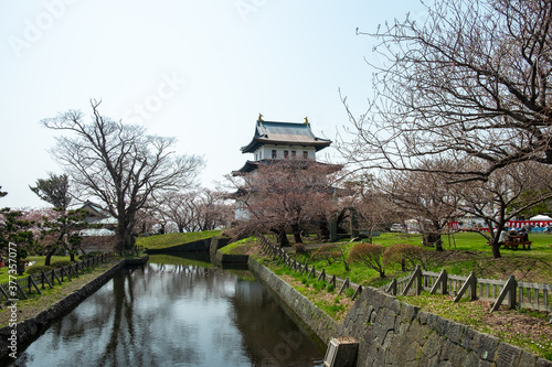 松前城と桜