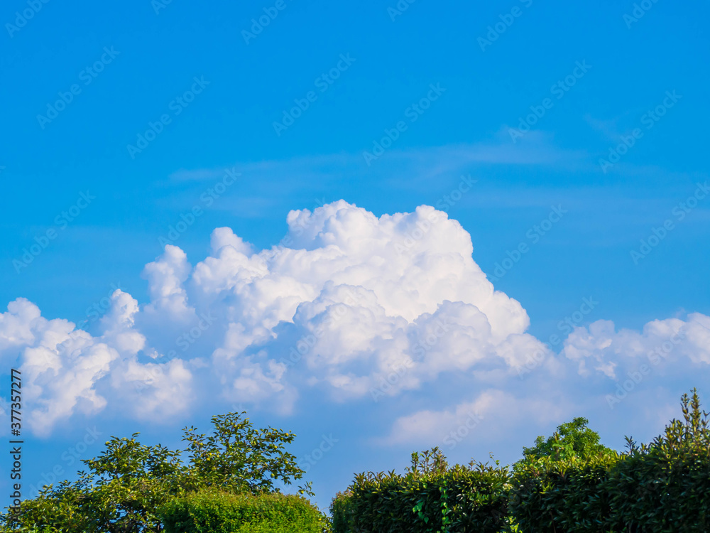Obraz premium 夏の青空と大きな入道雲