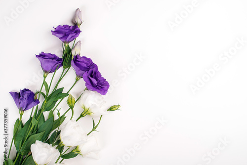 Tender white and purple flowers of eustoma. Flat lay, top view, copy space. Wedding invitation.