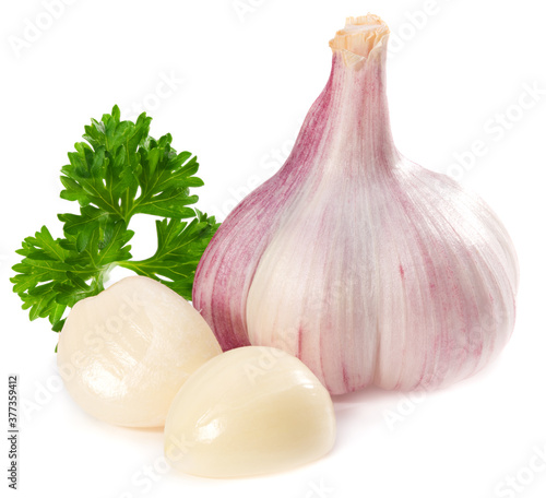garlic with cloves isolated on white background. full depth of field