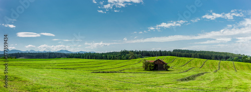Grüne hügelige Landschaft mit alpenpanorama im Allgäu